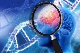 Level 4 Diploma in Psychology